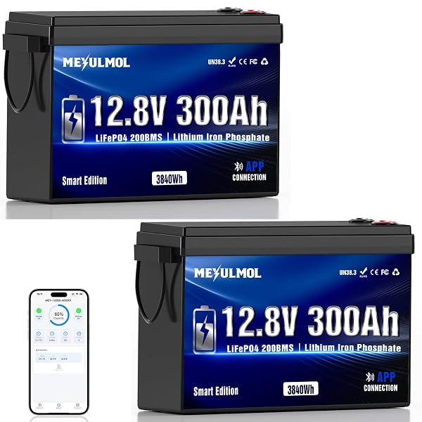 Two-pack of MEYULMOL 12V 300Ah LiFePO4 batteries