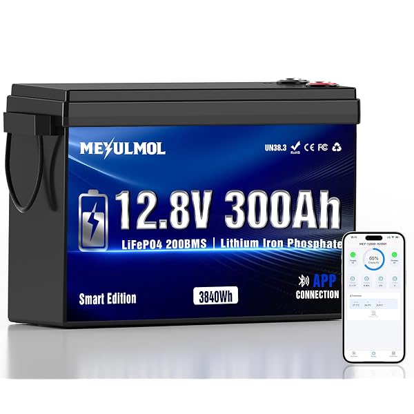 MEYULMOL 12V 300Ah deep-cycle battery