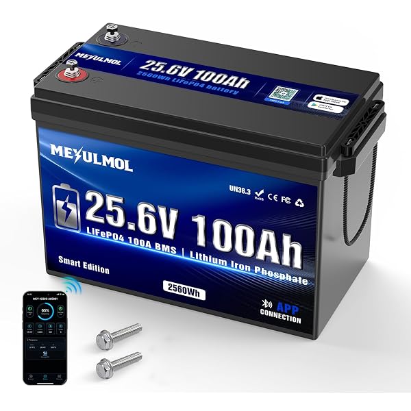 MEYULMOL 24V 100Ah LiFePO4 battery
