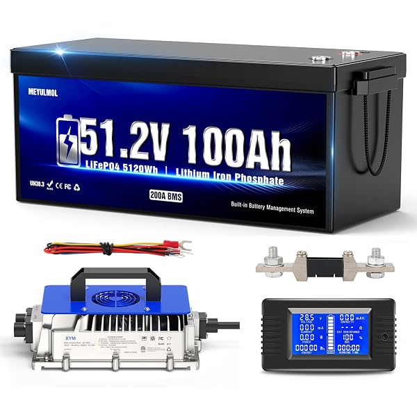 MEYULMOL 48V 100Ah golf cart battery with charger and LCD